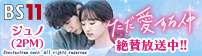 ドラマ　ただ愛する仲 ｜ BS11