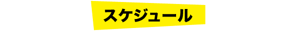 スケジュール