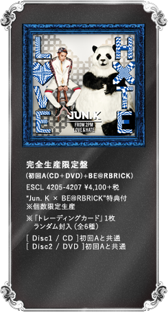 SY (A(CD{DVD){BE@BRICK)